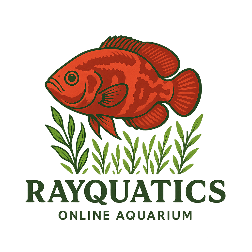 Rayquatics 